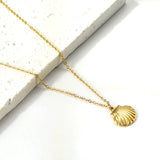 Shell Pendant Necklace 45cm+5cm