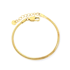 2.0mm/2.4mm Square Snake Bone Bracelet 18+3cm+6mm Round Tail Plaque Steel/Golden