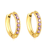 2.5*12mm I.D. Ear Clip CNC White/Black/Purple Zircon Gold Color