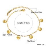 6 Shell Accessory Anklets 20+5cm Gold Steel