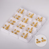 12 pairs Steel/Gold Frosted Screw In Stud Earrings without Diamonds