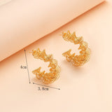 Fashion Stainless Steel C-Shape Earrings & Irregular Spring Threaded Earrings