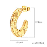 Irregular Stainless Steel Oil-Pressed Solid Earrings 18K Gold Plated Stainless Steel Earrings