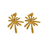 Trendy jewelry 18k gold stainless steel radiating earrings temperament fashion earrings