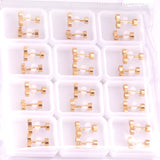 12 pairs Steel/Gold Frosted Screw In Stud Earrings without Diamonds